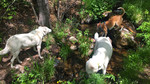 photo thumbnail #1