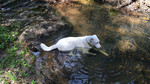 photo thumbnail #8