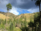 photo thumbnail #12
