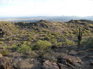 photo thumbnail #4