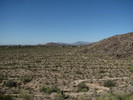 photo thumbnail #7