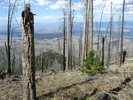 photo thumbnail #9