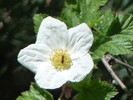 photo thumbnail #13