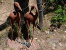 photo thumbnail #6