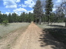 photo thumbnail #1