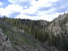photo thumbnail #7