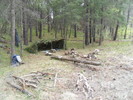 photo thumbnail #11