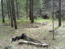 photo thumbnail #12