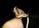 photo thumbnail #1
