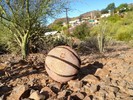 photo thumbnail #2