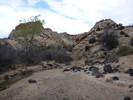photo thumbnail #2