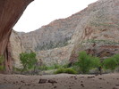 photo thumbnail #8
