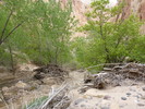 photo thumbnail #11