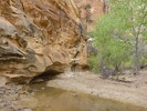 photo thumbnail #14