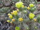 photo thumbnail #11