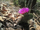 photo thumbnail #3