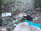 photo thumbnail #6