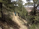 photo thumbnail #3