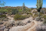 photo thumbnail #5