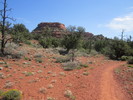 photo thumbnail #3