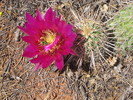 photo thumbnail #5