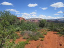 photo thumbnail #6