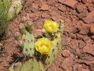 photo thumbnail #13