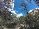 photo thumbnail #11