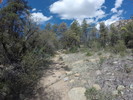 photo thumbnail #12