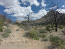 photo thumbnail #15