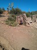 photo thumbnail #10
