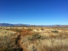 photo thumbnail #2