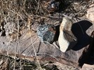 photo thumbnail #7