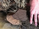 photo thumbnail #12