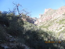 photo thumbnail #8