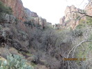 photo thumbnail #11