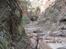 photo thumbnail #12