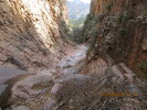 photo thumbnail #15