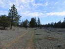 photo thumbnail #3