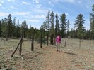 photo thumbnail #5
