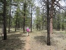 photo thumbnail #9