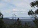 photo thumbnail #10