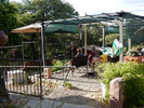 photo thumbnail #4