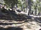 photo thumbnail #13