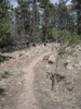 photo thumbnail #10