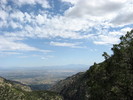 photo thumbnail #3