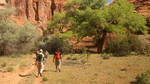 photo thumbnail #6