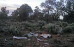 photo thumbnail #6