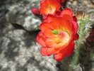 photo thumbnail #2