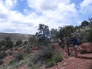 photo thumbnail #5